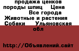 продажа ценков породы шпиц  › Цена ­ 35 000 - Все города Животные и растения » Собаки   . Ульяновская обл.